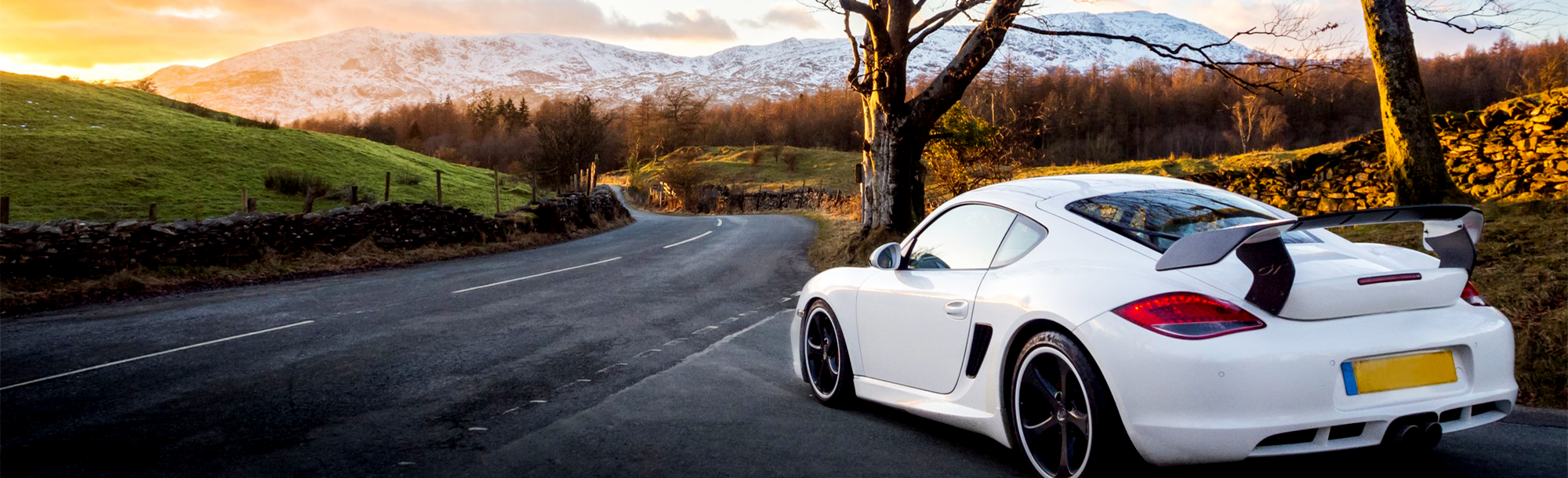 信頼と実績の桑陽自動車